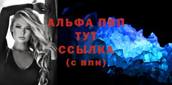 a pvp Новозыбков